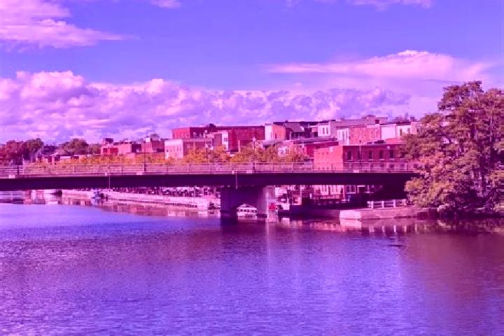 Violet, 34 — Escort in Seneca Falls, United States