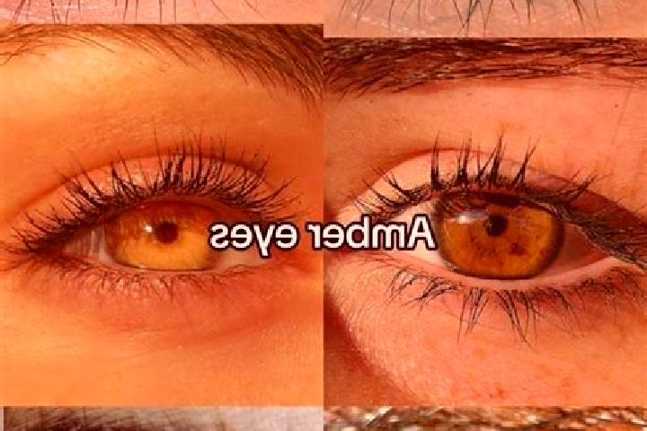 Violet, 35, a chestnut amber-eyed mediterranean companion based in Hadambu. Offering CIM, Striptease, Overnight, Travel Companion. Available for incall and o...
