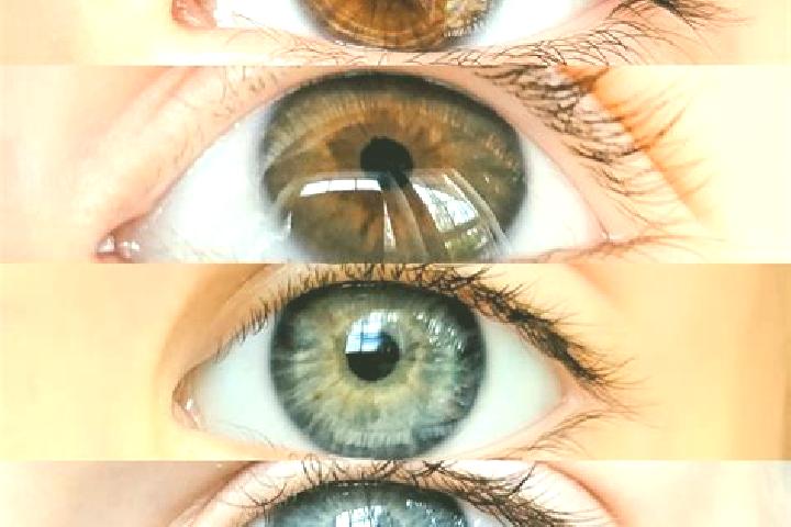 Violet, 35, a chestnut dark-eyed mixed companion based in Monte Alegre. Offering 69, Girlfriend Experience, BDSM. Available for incall and outcall, overnight...