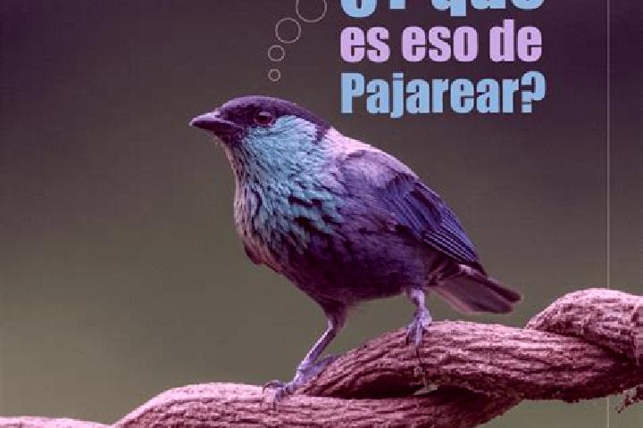 Violet, 35 — Escort in El Paujil, Colombia
