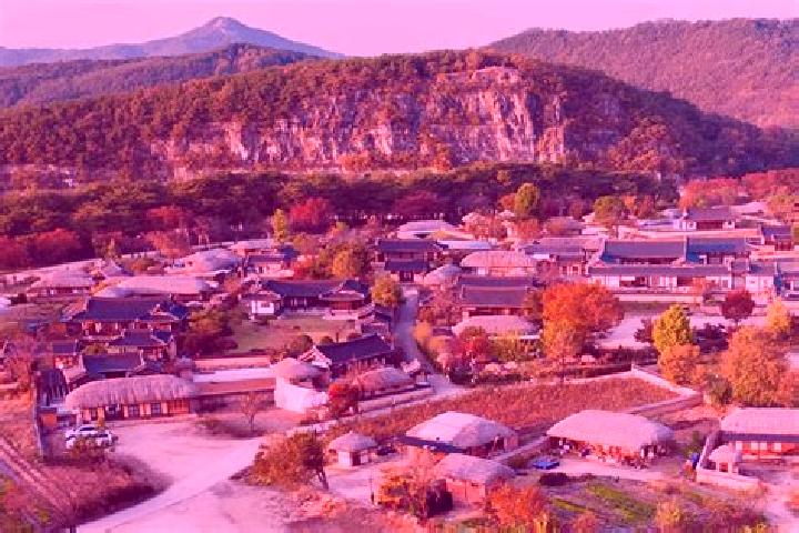 Violet, 35 — Escort in Hahoe-dong, North Korea