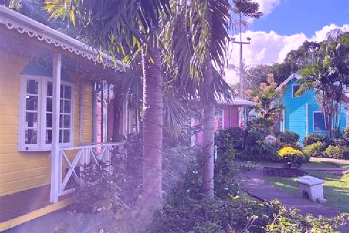 Violet, 35 — Escort in Holetown, Barbados