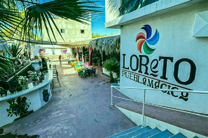 Violet, 35 — Escort in Loreto, Mexico