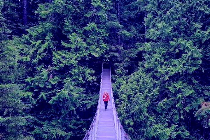 Violet, 35 — Escort in Lynn Canyon, Canada