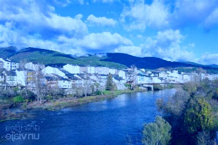 Violet, 35 — Escort in O Barco de Valdeorras, Spain