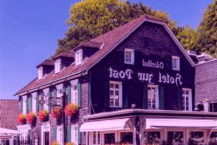 Violet, 35 — Escort in Odenthal, Germany
