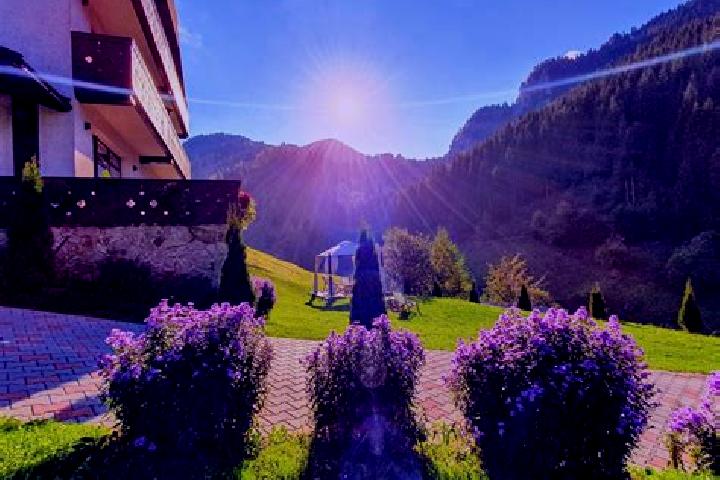 Violet, 35 — Escort in Plaiu Nucului, Romania