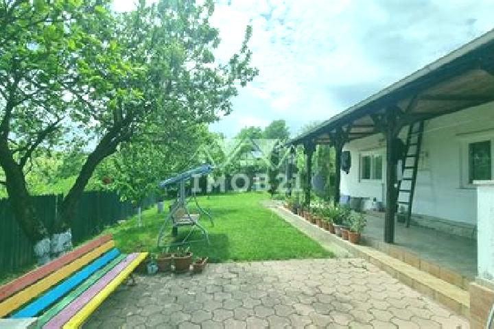 Violet, 35 — Escort in Podenii Noi, Romania