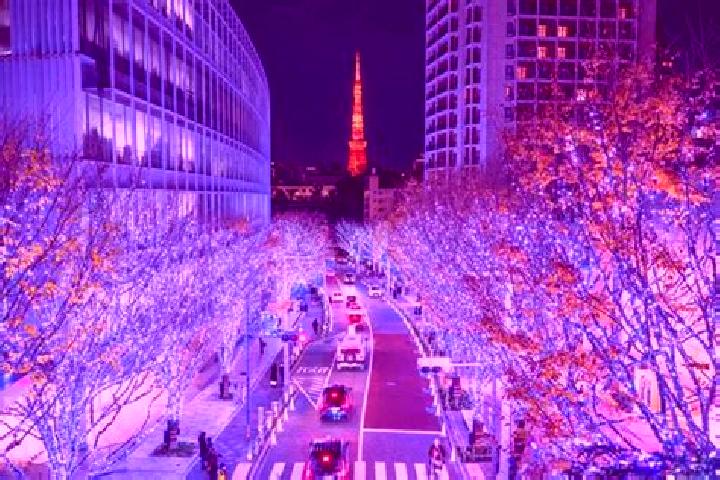 Violet, 35 — Escort in Roppongi, Japan