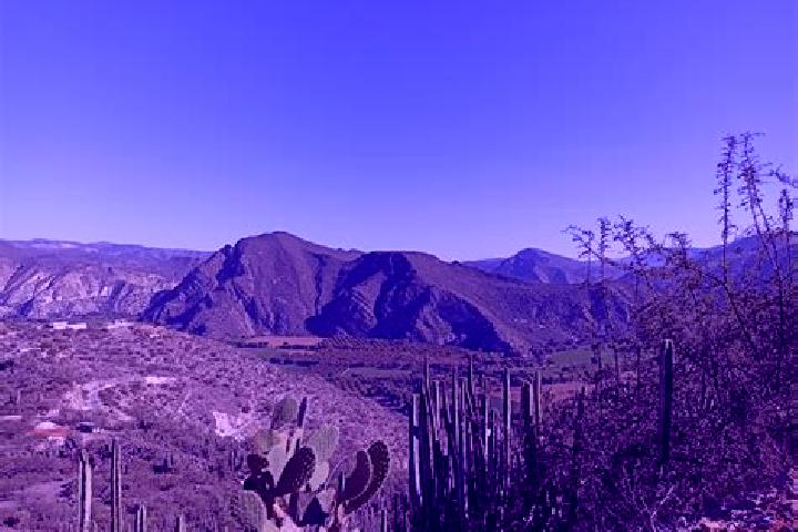 Violet, 35 — Escort in San Juan Tepecoculco, Mexico