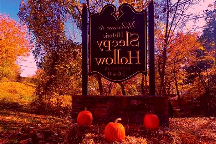 Violet, 35 — Escort in Sleepy Hollow, United States