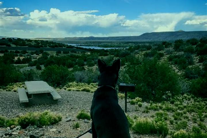Violet, 36 — Escort in Cochiti Lake, United States