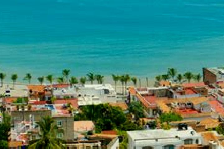 Violet, 36 — Escort in Loma de Guamuchil, Mexico