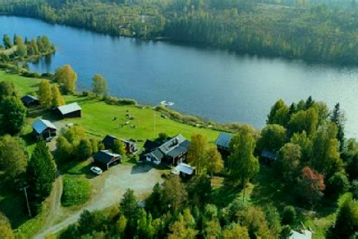 Violet, 36 — Escort in Matfors, Sweden