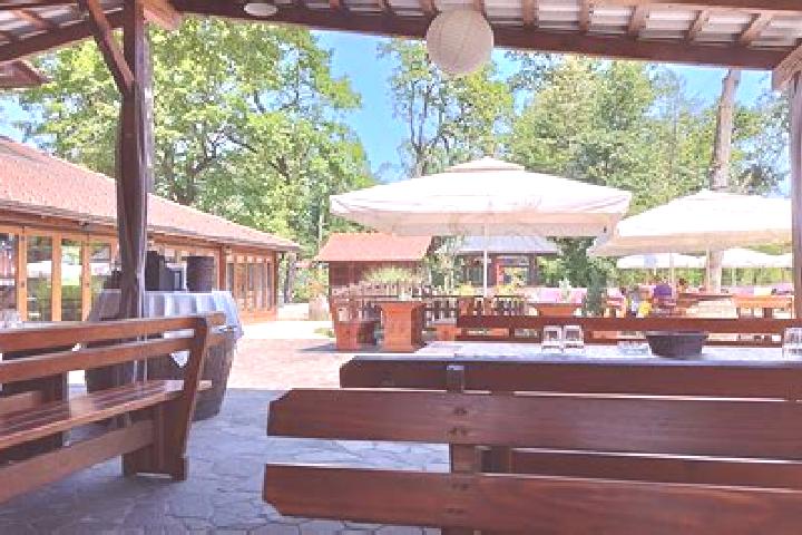 Violet, 36 — Escort in Mislinjska Dobrava, Slovenia