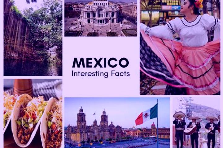 Violet, 36 — Escort in Popoyatlajco, Mexico