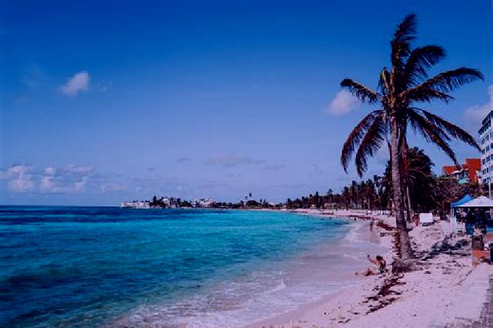 Violet, 36 — Escort in San Andres Coapa, Mexico