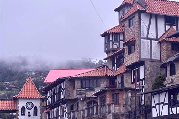 Violet, 36 — Escort in Tovar, Venezuela