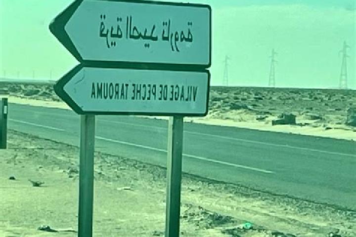Violet, 37 — Escort in Agti el Ghazi, Western Sahara