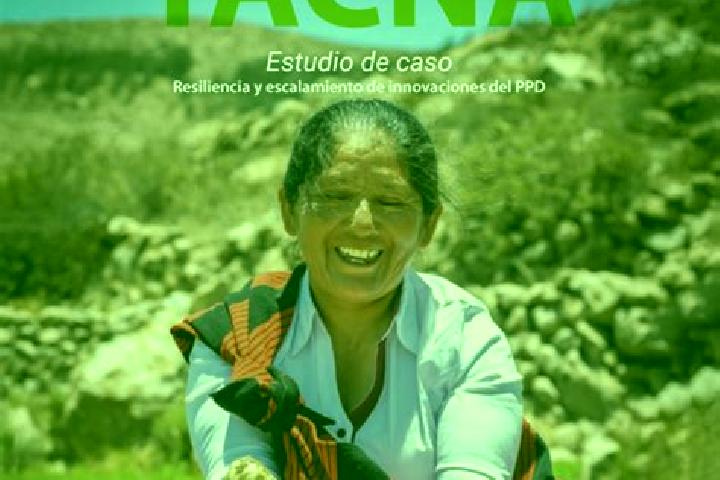 Violet, 37 — Escort in Capaso, Peru