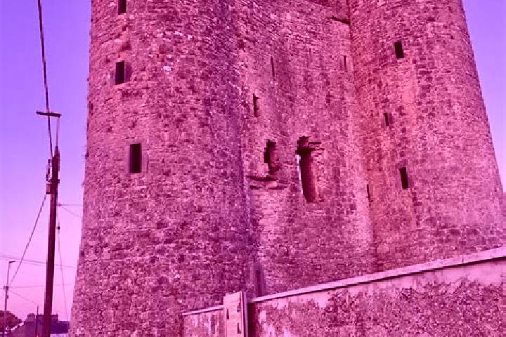 Violet, 37 — Escort in Delvin, Ireland