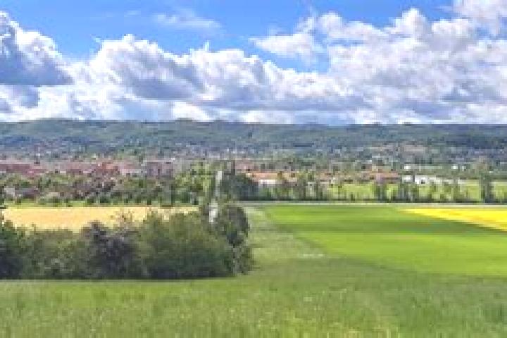 Violet, 37 — Escort in Drohndorf, Germany