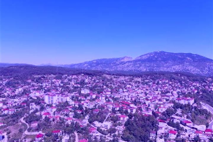 Violet, 37 — Escort in Duezici, Turkey