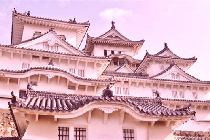 Violet, 37 — Escort in Himeji, Japan