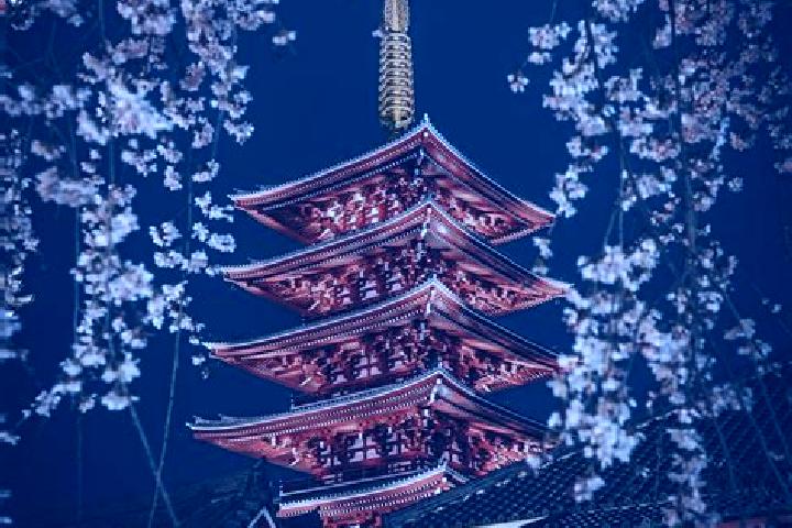 Violet, 37 — Escort in Kosuge, Japan