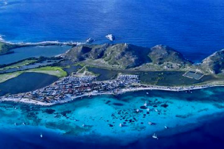 Violet, 37 — Escort in Los Roques, Venezuela