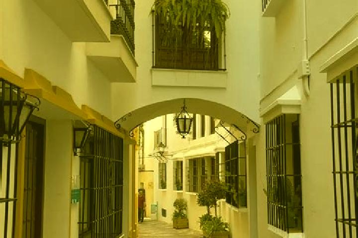 Violet, 37 — Escort in Mentrida, Spain