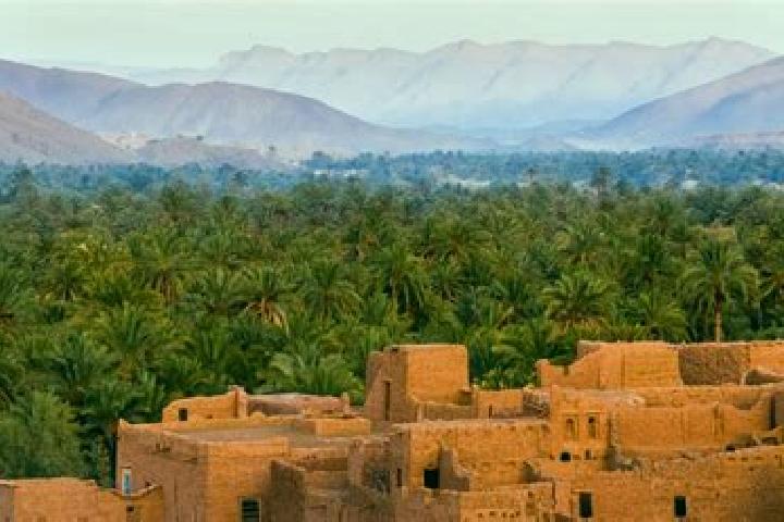 Violet, 37 — Escort in Oued Amlil, Morocco