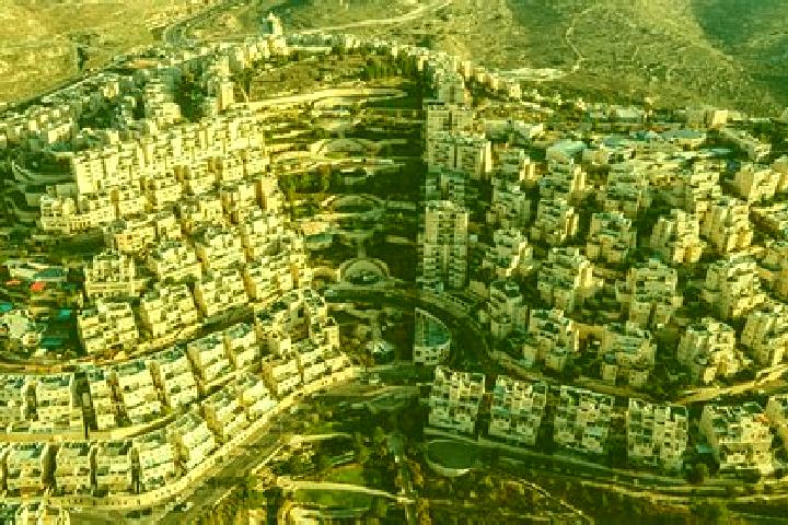 Violet, 37 — Escort in Qalandiya, Palestine