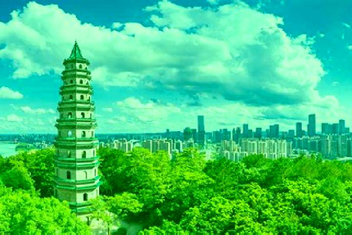 Violet, 37 — Escort in Qingxiu, China