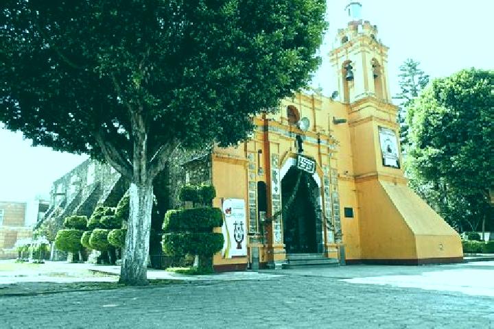 Violet, 37 — Escort in San Miguel Totoltepec, Mexico