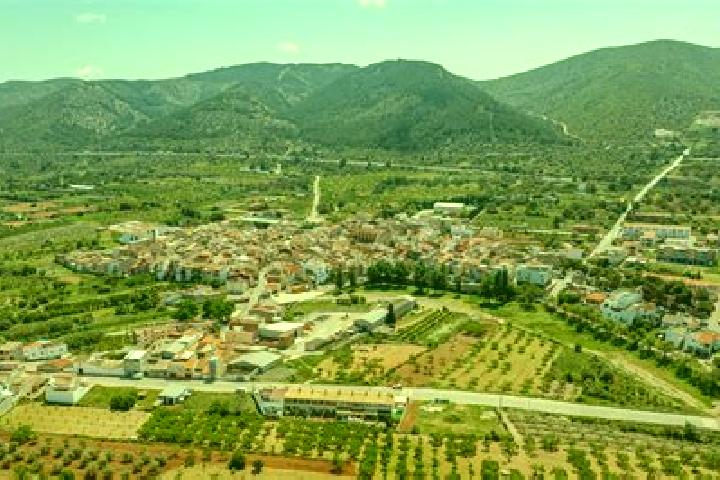 Violet, 37 — Escort in Santa Magdalena de Pulpis, Spain