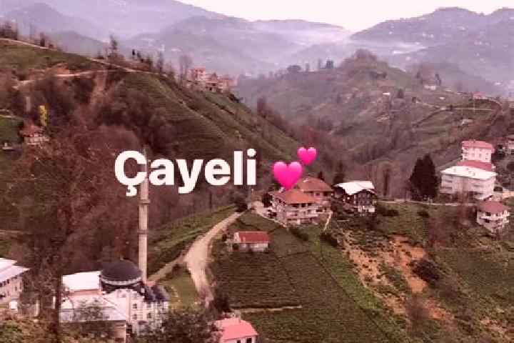 Violet, 38 — Escort in Cayeli, Turkey