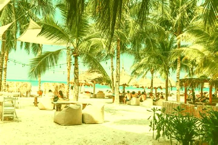 Violet, 38 — Escort in La Isla, Mexico