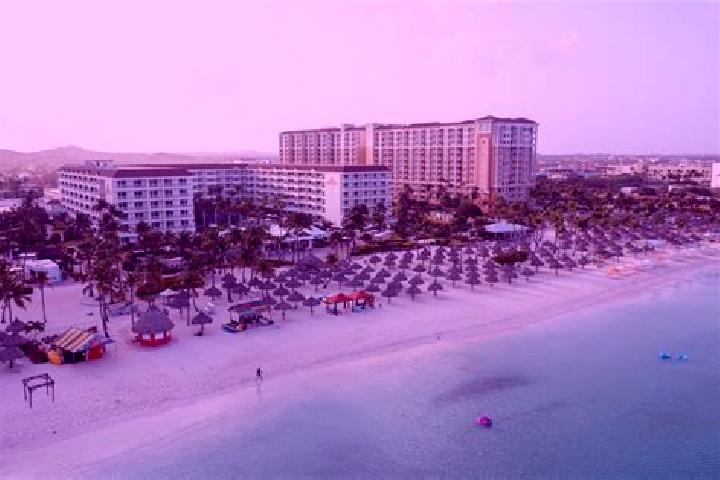 Violet, 38 — Escort in Palm Beach, Aruba