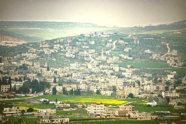 Violet, 38 — Escort in Tubas, Palestine