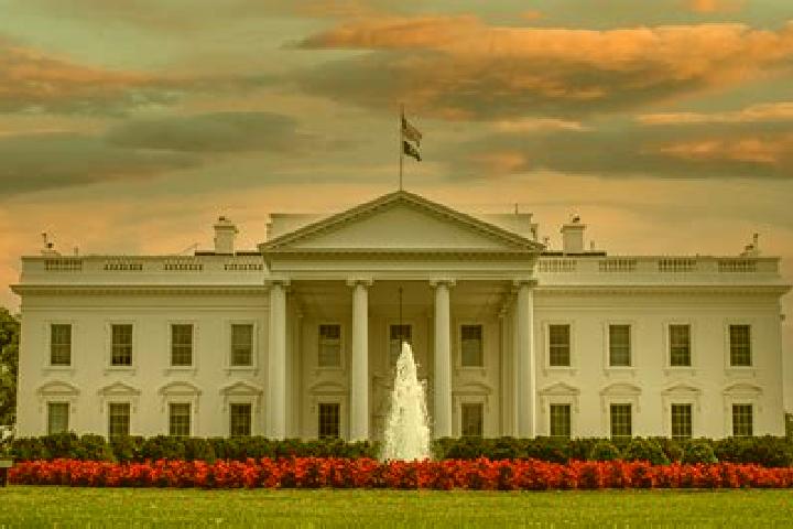 Violet, 38 — Escort in White House, United States