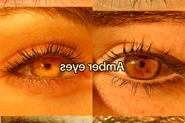 Violet, 39, a brunette amber-eyed slavic companion based in Marcus. Offering Erotic Massage, OWO, Overnight. Available for incall and outcall, day and evenin...