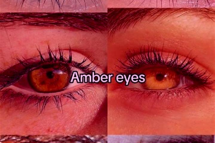 Violet, 39, a chestnut amber-eyed mixed companion based in Ajdir. Offering Overnight, 69, Fetish. Available for incall and outcall, overnight bookings availa...