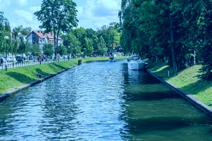 Violet, 39 — Escort in Dobromierz, Poland