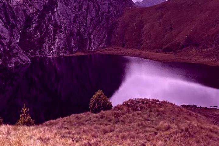 Violet, 39 — Escort in La Jalca, Peru