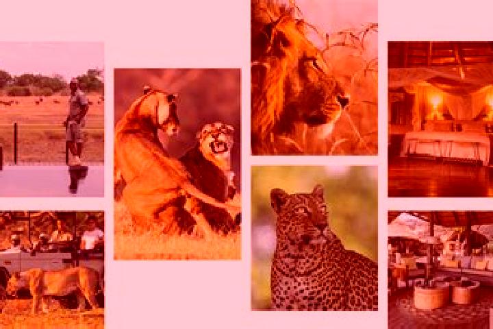 Violet, 39 — Escort in Luangwa, Zambia
