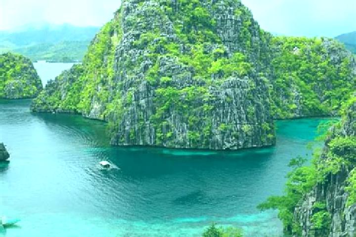Violet, 39 — Escort in Polo, Philippines