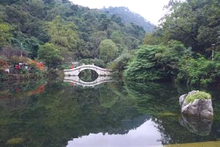 Violet, 39 — Escort in Qianling, China