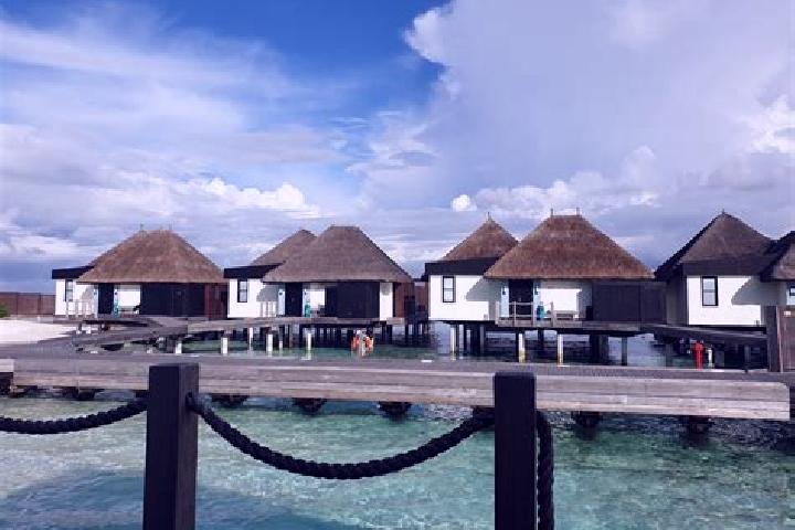 Violet, 39 — Escort in Viligili, Maldives