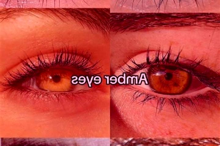 Willow, 20, a chestnut amber-eyed middle eastern companion based in Aratzipu. Offering Overnight, A-Level, Deep French Kissing. Available for incall and outc...